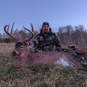 Whitetail Deer Bowhunt Canada