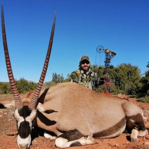 Gemsbok Bow Hunting Eastern Cape South Africa