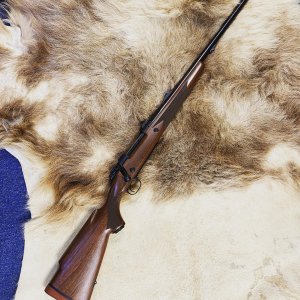 .375 H&H. Winchester Model 70 Classic Super Express Rifle