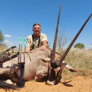 Gemsbok Bowhunting Kalahari South Africa