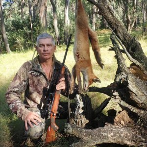 Austalian Fox Hunt