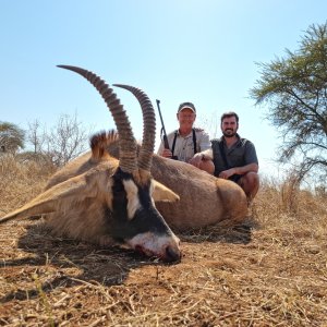 Roan Hunt South Africa