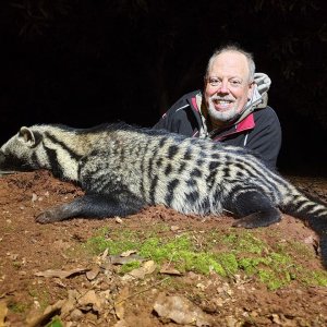 Civet Hunting Limpopo South Africa