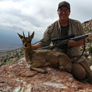 Klipspringer Hunt Karoo South Africa