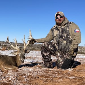 Whitetail Hunting Texas