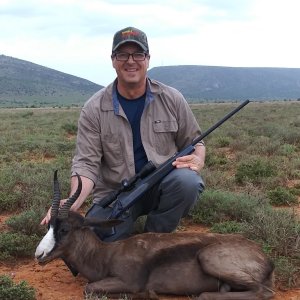 Black Springbok Hunting Karoo South Affrica
