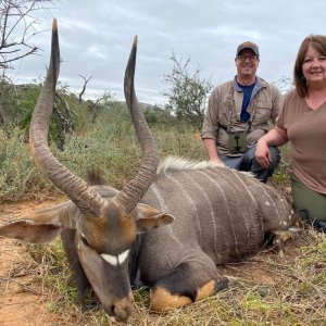 Nyala Hunting Karoo South Affrica