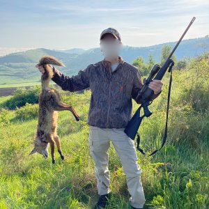 Foxi Hunt Romania