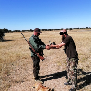 Steenbok Hunting Namibia