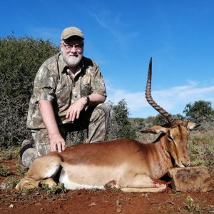 Unusual Impala Hunt Eastern Cape South Africa