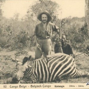 Zebra Hunting in Congo