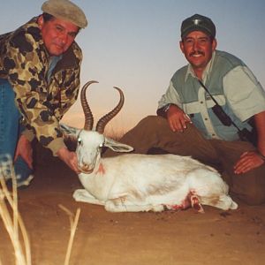 Hunting White Springbok