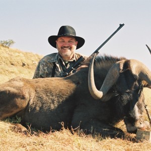 Black Wildebeest Hunt
