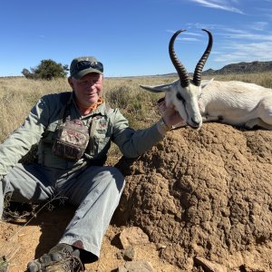 White Springbok Hunting South Africa