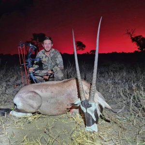 Gemsbok Bow Hunting Namibia