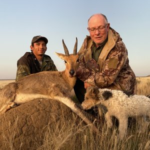 Reedbuck Hunting Northern Cape South Africa