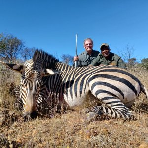 Harmann's Zebra Hunting Namibia