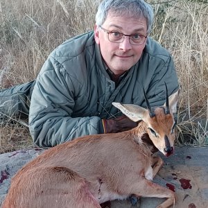 Steenbok Hunting Namibia