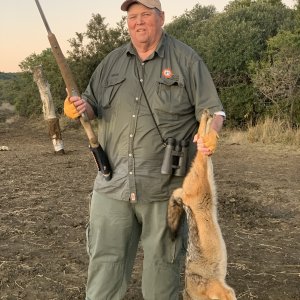 Jackal Hunting South Africa