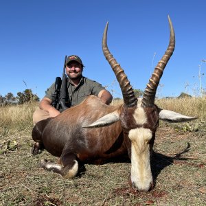 Blesbok Hunting Limpopo South Africa