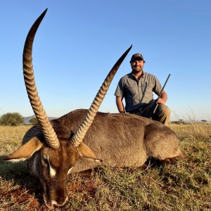Waterbuck Hunting Limpopo South Africa