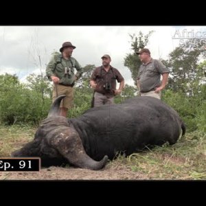 Caprivi Buffalo hunt with Ndumo Safaris  Part 1  Africa's Sportsman Show