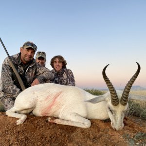 White Springbok Hunting Eastern Cape South Africa