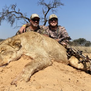 Lioness Hunting 3s SAFARIS Kalahari SA