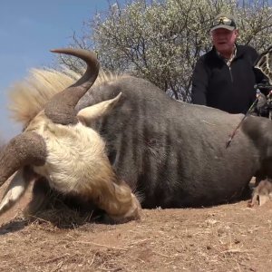 Bowhunting in Africa at Dries Visser Safaris, with Troy Behringer