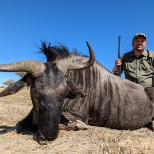 Blue Wildebeest Hunt Zimbabwe