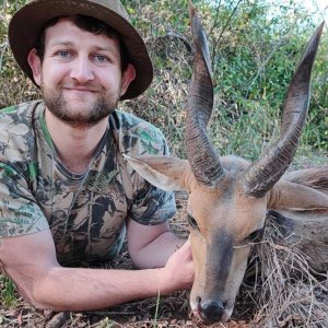 Unique Twisted Horns Bushbuck Hunt Limpopo South Africa