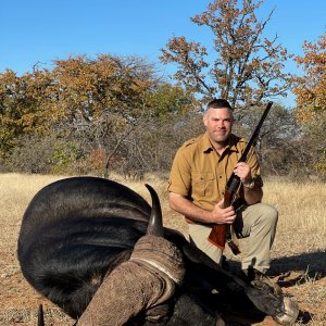 Buffalo Hunting Zimbabwe