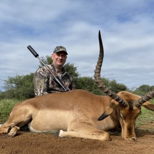 Hunting Impala Limpopo South Africa