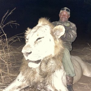 Lion Hunt Matetsi Zimbabwe