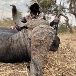Buffalo Hunt Matetsi Zimbabwe