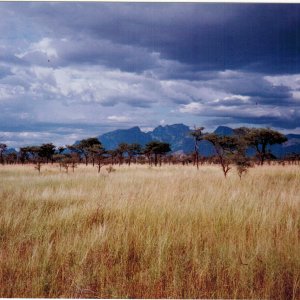 Karamoja, Ouganda, Border of Kenya