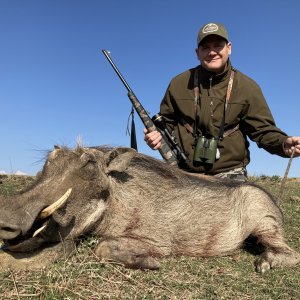 Warthog Hunting Hunting South Africa