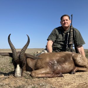 Black Springbok Hunt South Africa