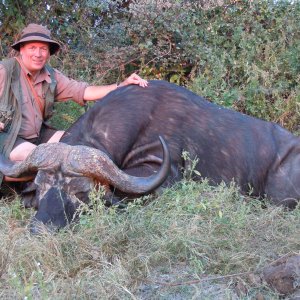 Buffalo Hunting Caprivi Namibia