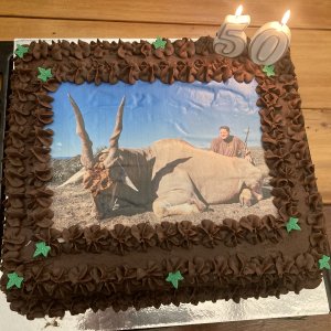 Eland Birthday Cake