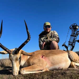 Imapal Bow Hunting South Africa