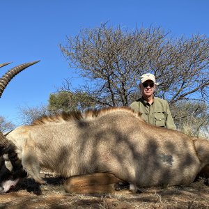 Roan Hunting South Africa
