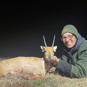 Steenbok Hunting South Africa