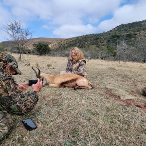 Springbok Hunt South Africa