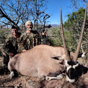 Gemsbok Bow Hunt South Africa