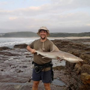 Smooth Hound Shark  Fishing South Africa