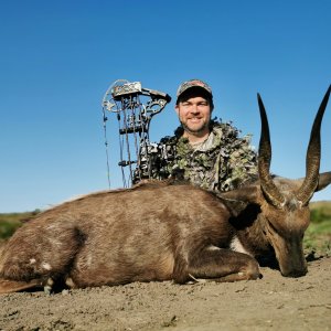 Bow Hunting Bushbuck Eastern Cape South Africa