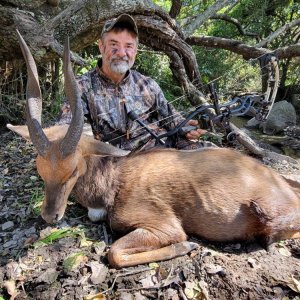 Bow Hunting Bushbuck Eastern Cape South Africa