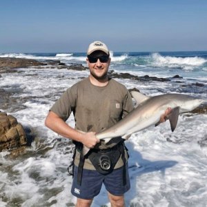 Shark Fishing South Africa