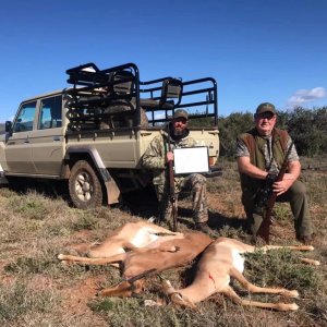 Cull Hunt Eastern Cape South Africa